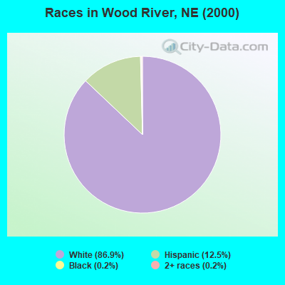 Races in Wood River, NE (2000)