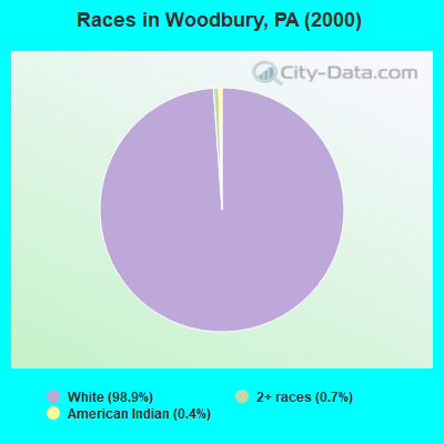 Races in Woodbury, PA (2000)