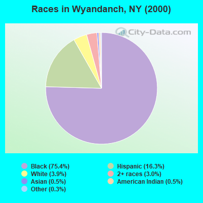 Races in Wyandanch, NY (2000)