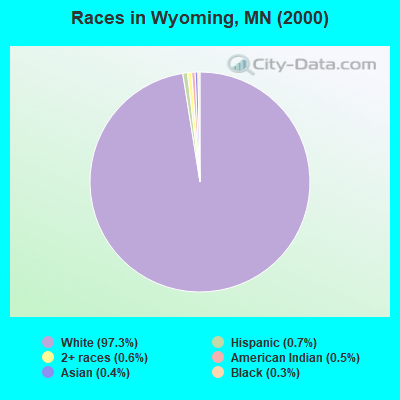 Races in Wyoming, MN (2000)