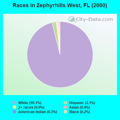 Races in Zephyrhills West, FL (2000)