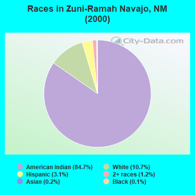 Races in Zuni-Ramah Navajo, NM (2000)