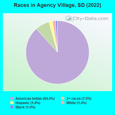 Races in Agency Village, SD (2022)