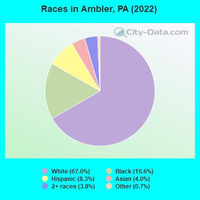 Races in Ambler, PA (2019)
