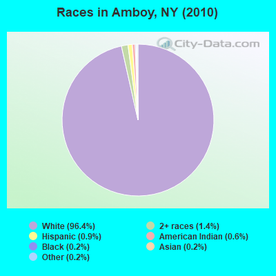 Races in Amboy, NY (2010)