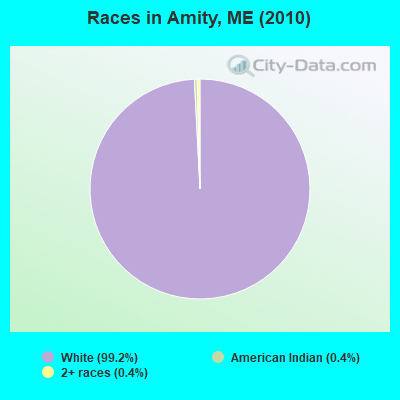 Races in Amity, ME (2010)