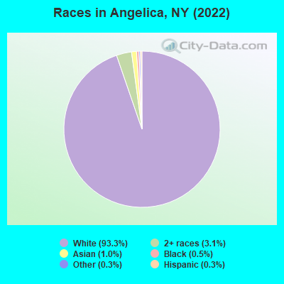 Races in Angelica, NY (2022)