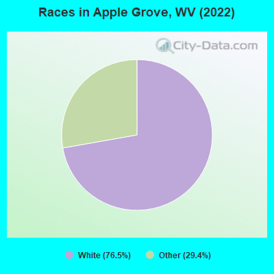 Races in Apple Grove, WV (2022)