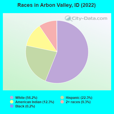 Races in Arbon Valley, ID (2019)