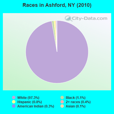Races in Ashford, NY (2010)