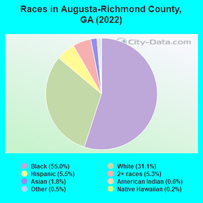Races in Augusta-Richmond County, GA (2022)