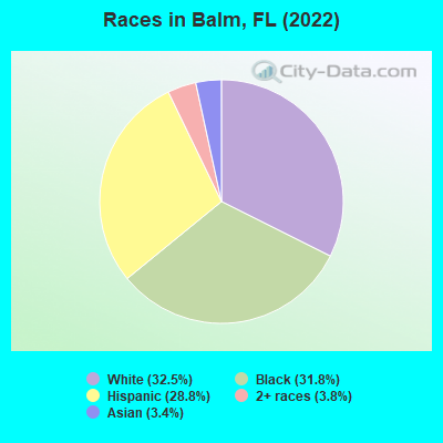 Races in Balm, FL (2022)