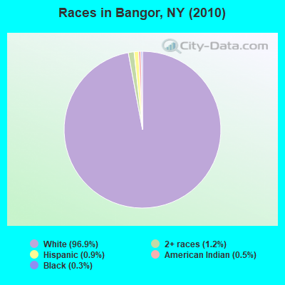 Races in Bangor, NY (2010)