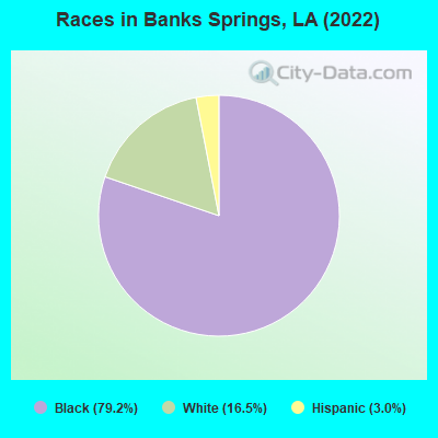 Races in Banks Springs, LA (2022)