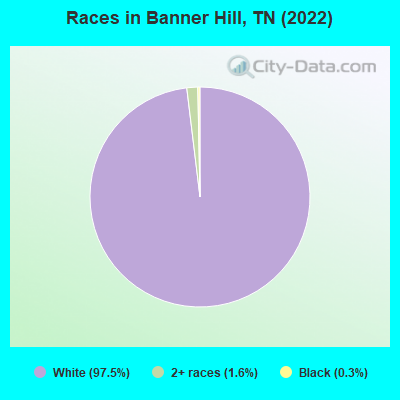 Races in Banner Hill, TN (2022)