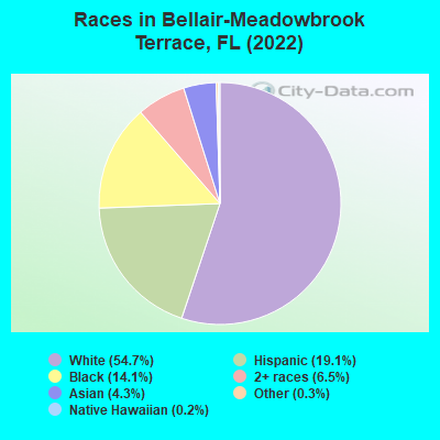 Races in Bellair-Meadowbrook Terrace, FL (2022)