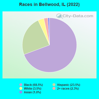 Races in Bellwood, IL (2019)
