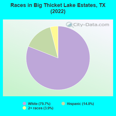 Races in Big Thicket Lake Estates, TX (2022)