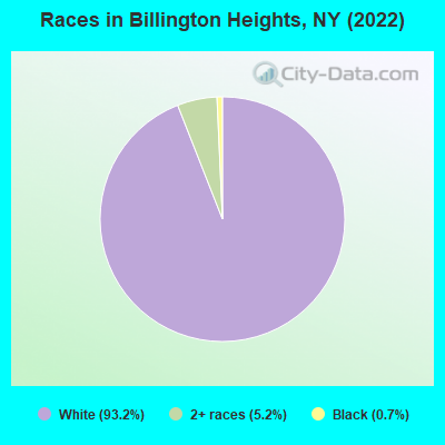 Races in Billington Heights, NY (2022)