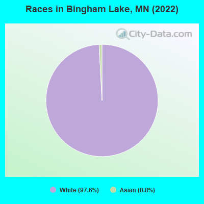 Races in Bingham Lake, MN (2019)