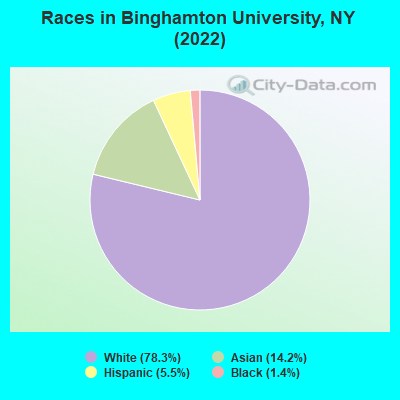 Races in Binghamton University, NY (2022)