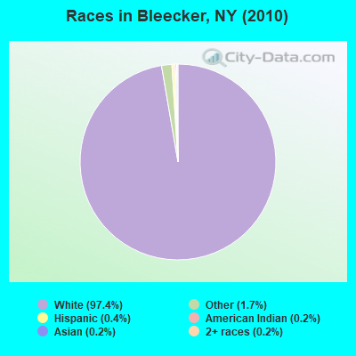 Races in Bleecker, NY (2010)