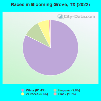 Races in Blooming Grove, TX (2021)