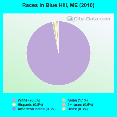 Races in Blue Hill, ME (2010)