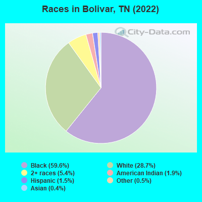 Races in Bolivar, TN (2019)