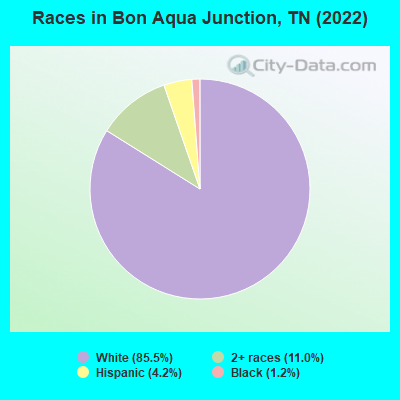 Races in Bon Aqua Junction, TN (2022)