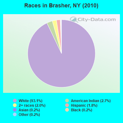 Races in Brasher, NY (2010)