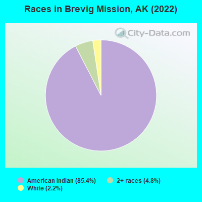 Races in Brevig Mission, AK (2022)