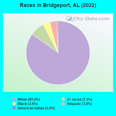 Races in Bridgeport, AL (2022)