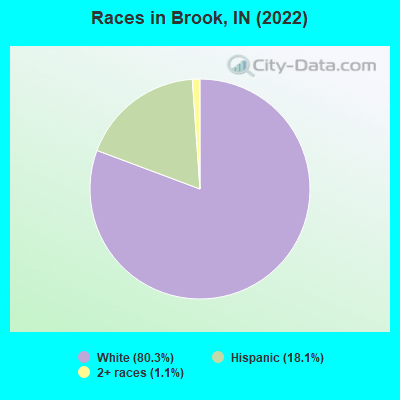 Races in Brook, IN (2019)