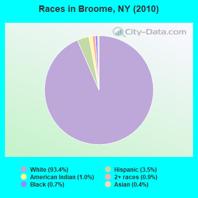 Races in Broome, NY (2010)