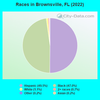 Races in Brownsville, FL (2022)