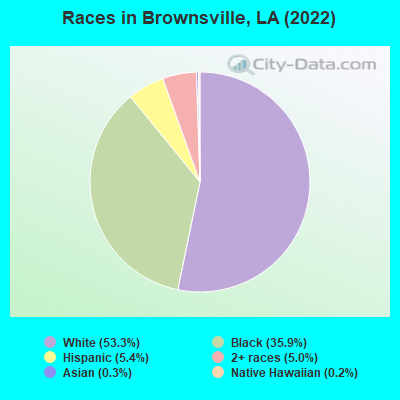 Races in Brownsville, LA (2022)