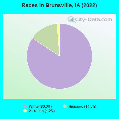 Races in Brunsville, IA (2021)