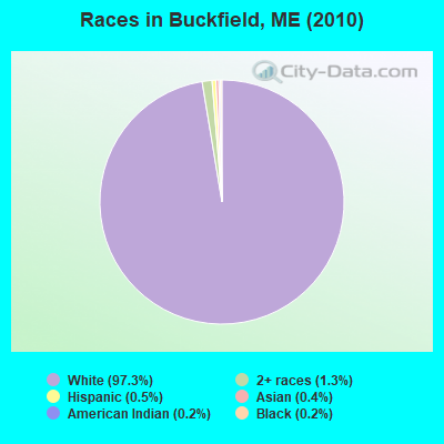 Races in Buckfield, ME (2010)