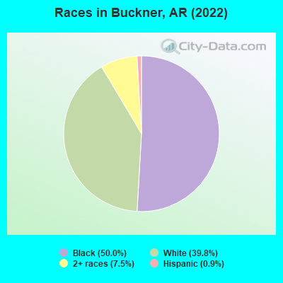 Races in Buckner, AR (2022)