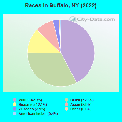 Races in Buffalo, NY (2019)