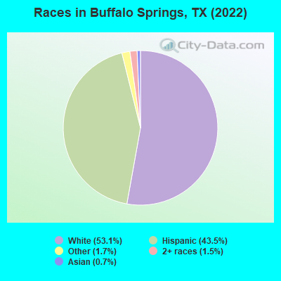 Races in Buffalo Springs, TX (2022)