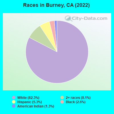 Races in Burney, CA (2019)