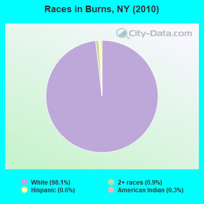 Races in Burns, NY (2010)