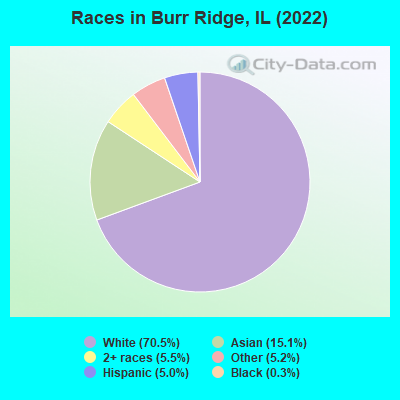 Races in Burr Ridge, IL (2019)