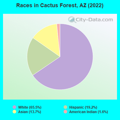 Races in Cactus Forest, AZ (2022)