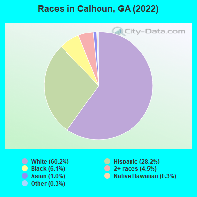 Races in Calhoun, GA (2021)