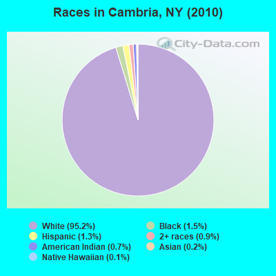 Races in Cambria, NY (2010)
