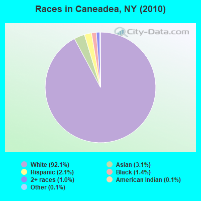 Races in Caneadea, NY (2010)