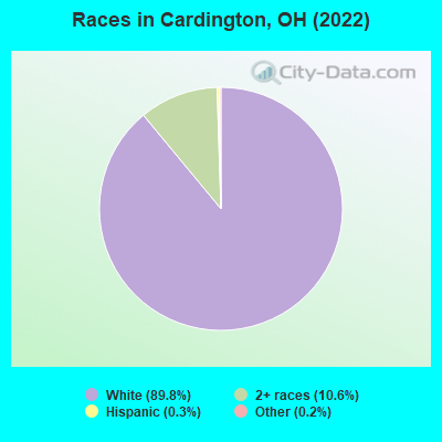 Races in Cardington, OH (2022)